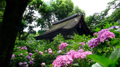 藤森神社